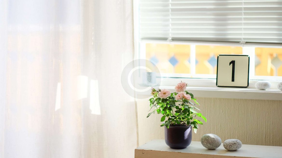 Roller Blinds