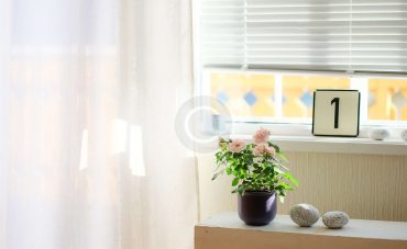 Roller Blinds